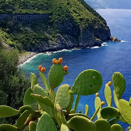 Ferienhaus 140 Mq A Pochi Minuti Da Tropea, 2 Bagni